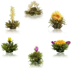 Discount Blossom Rain - Theebloem Theebloemen