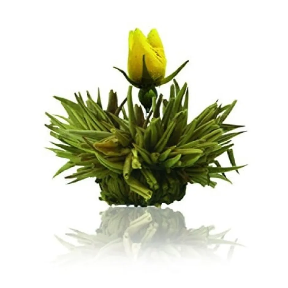 Discount Cadeauset mix 18 theebloemen in magneetbox Theebloemen | Theepakket