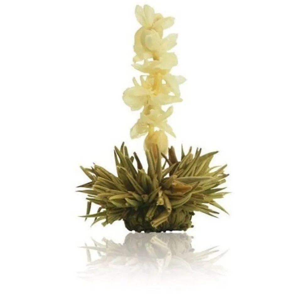 Discount Cadeauset mix 18 theebloemen in magneetbox Theebloemen | Theepakket