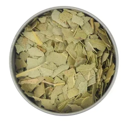 Online Eucalyptus thee Eucalyptusblad Thee