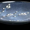 Clearance Japans porseleinen bord Ø25,5 Porselein Servies