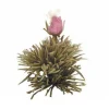 Outlet Jewel Droplet - Theebloemen Theebloemen | Rozenthee