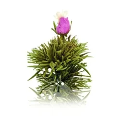 Outlet Queen of Gold - Theebloem Theebloemen