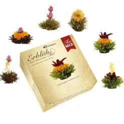 Clearance Theebloem box a 6st MIX Vaderdag | Theebloemen
