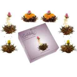 Clearance Theebloem box a 6st zwarte thee Theebloemen | Vaderdag