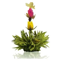Hot Theebloem Lemon Theebloemen