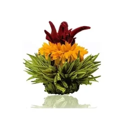 Hot Theebloem Lemon Theebloemen