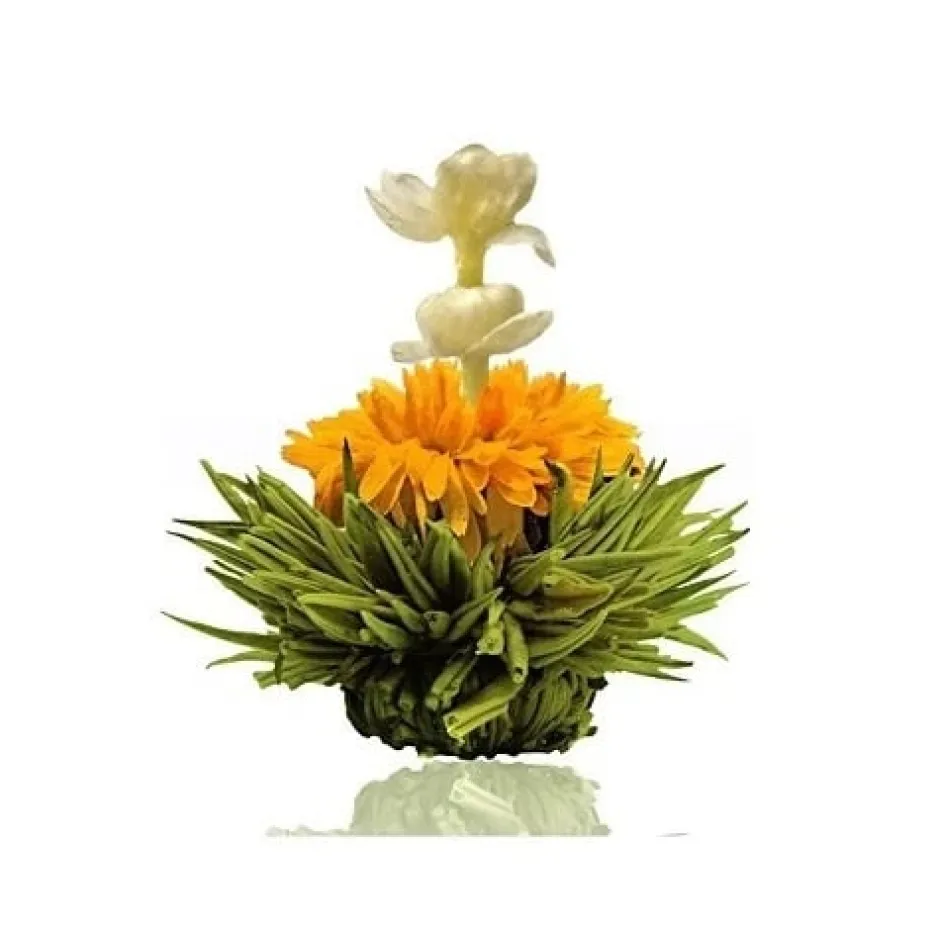 Sale Theebloem Peach Theebloemen
