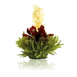 Best Theebloem Raspberry Theebloemen