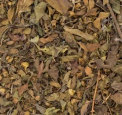 Fashion Tulsi kruidenthee Tulsi Thee | Ayurvedische Thee